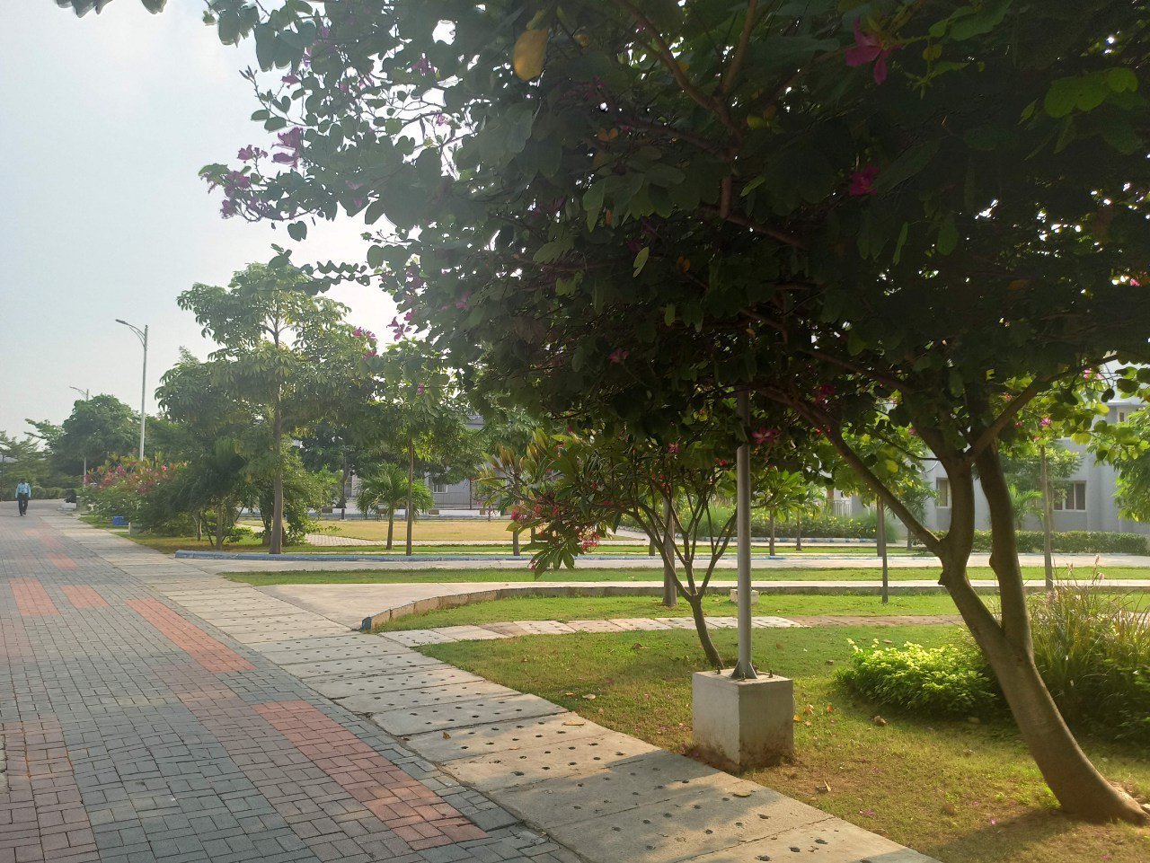 IIT Tirupati South Campus landscaped walkway