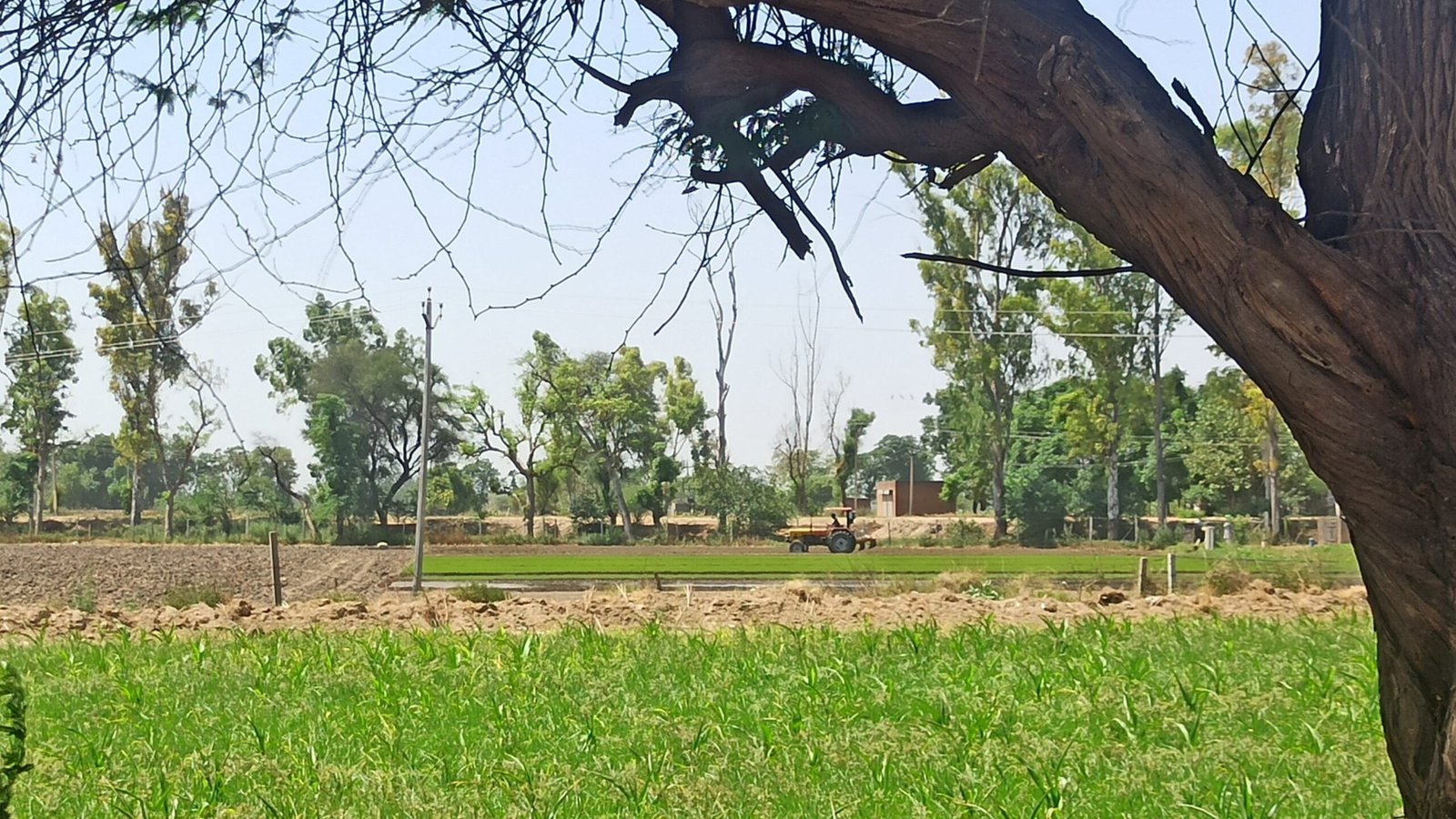 Indian farmer working in an agricultural field with a tractor, illustrating the PM-Kisan beneficiary context