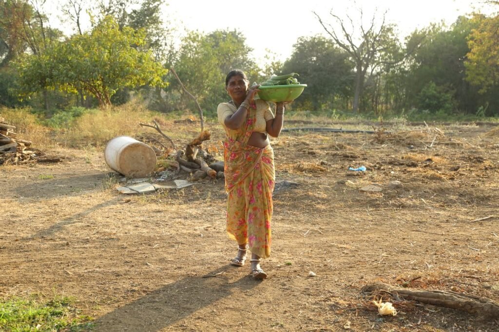 Indian woman farmer carrying harvested produce in a rural field, illustrative image for PM Kisan Maandhan