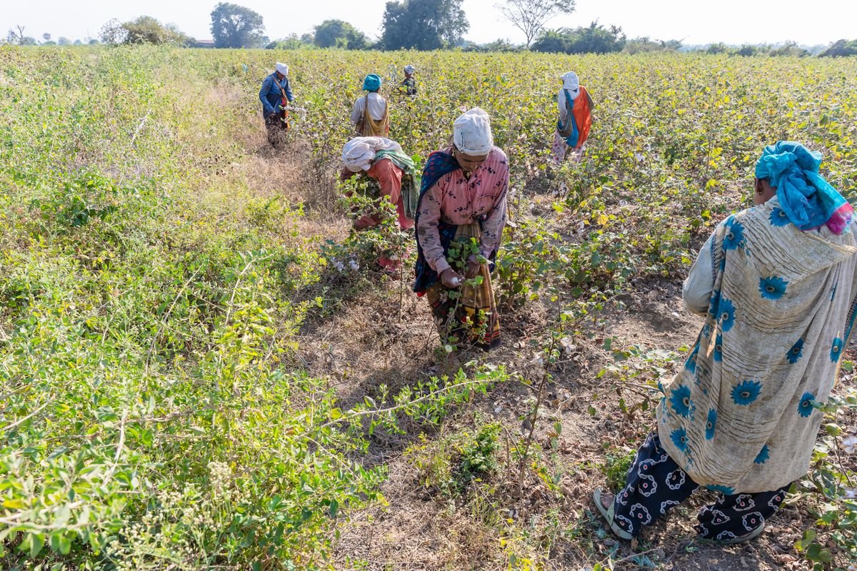 Indian farmers working in a rural field, illustrative image for PM Kisan Maandhan