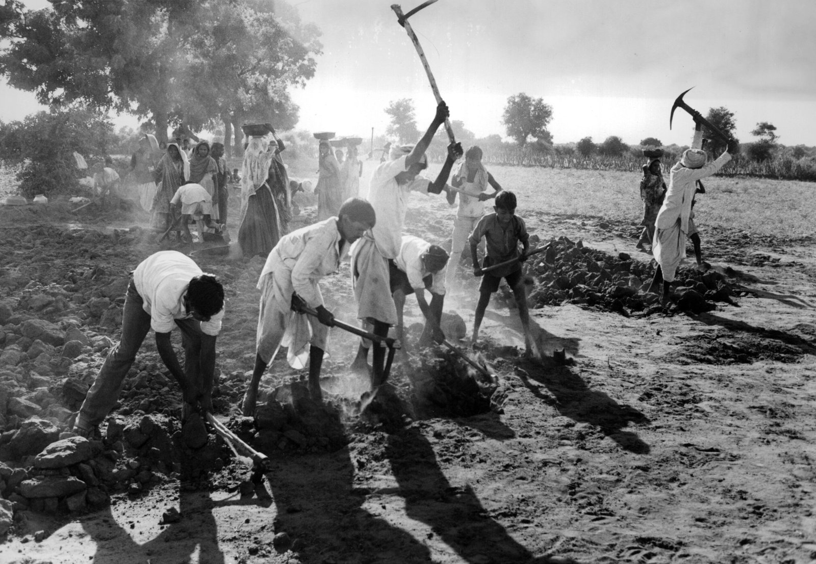 Rural workers in an Indian field illustrating manual rural employment