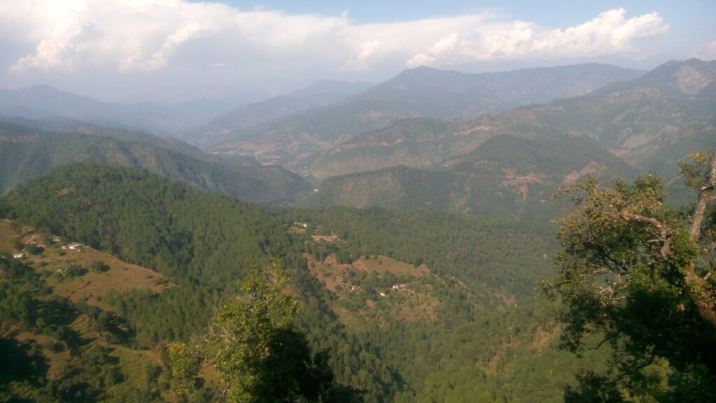 Forest-covered hills in Uttarakhand