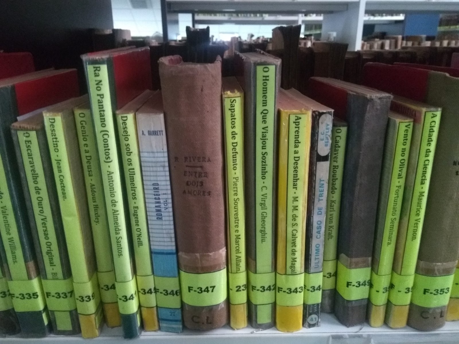 Books arranged on shelves in a central library