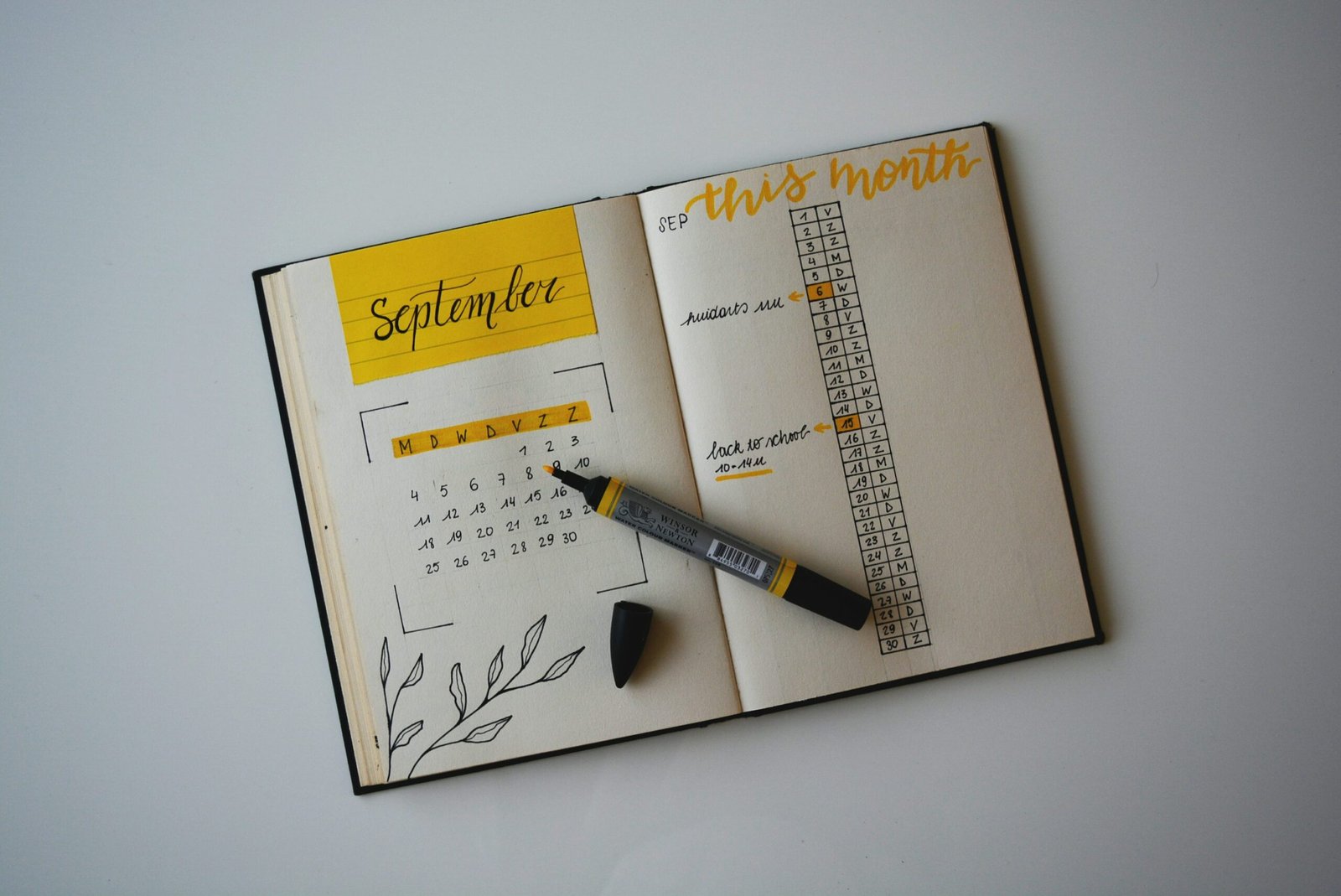 Planner and pen for planning a school admission age cutoff date